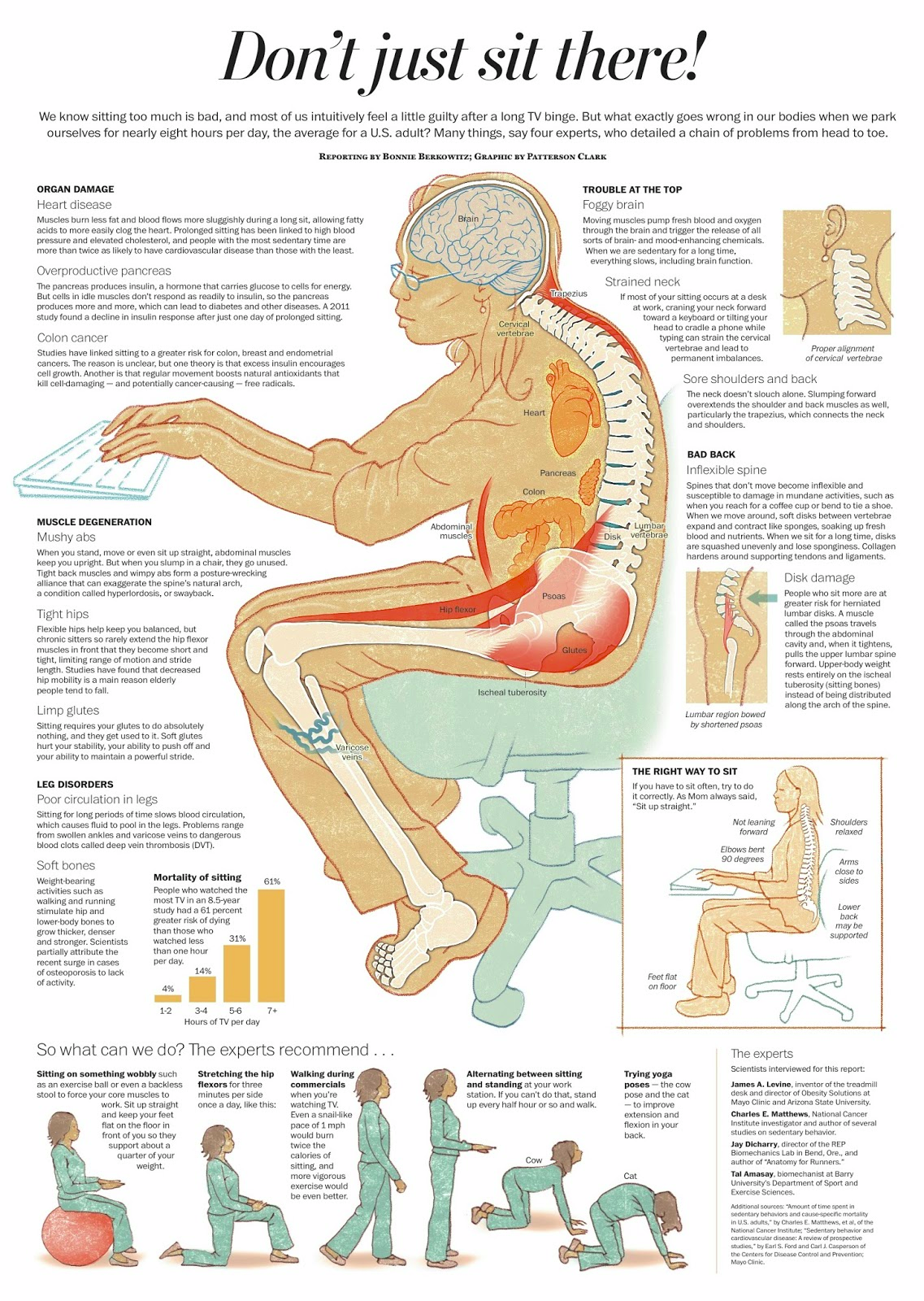 Quitting Sitting Definitive Guide Dangers of Sitting Infographics Facts Statistics Sitting Killing Deadly
