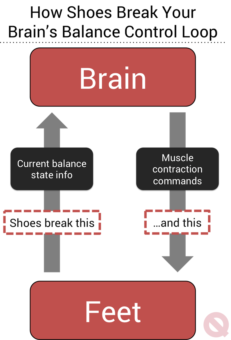 quitting sitting barefoot standing healthier foot brain control loop infographic